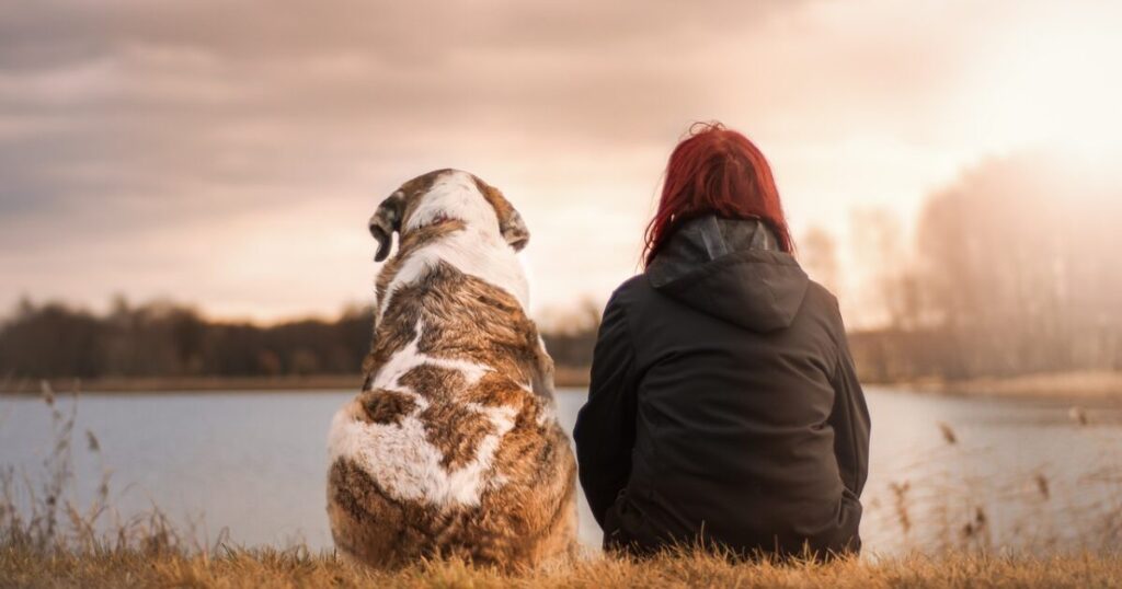 一人暮らし女性に合った大型犬種の性格